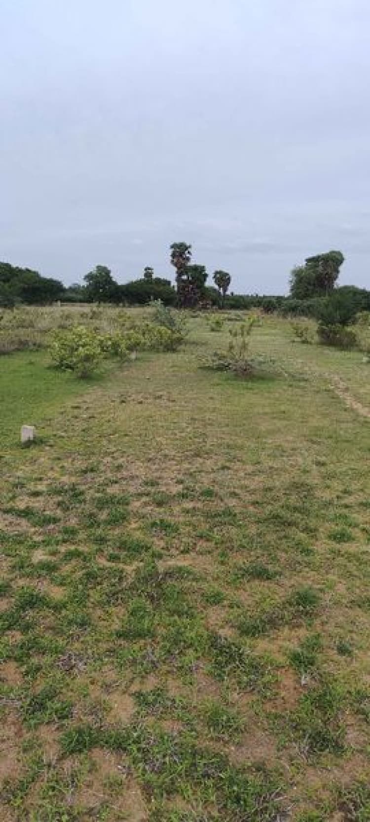 land sale