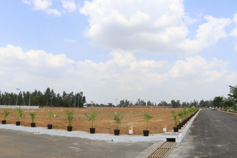 dtcp plots for sale 
