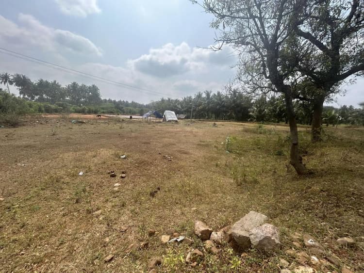 5.59 Acre land for sales