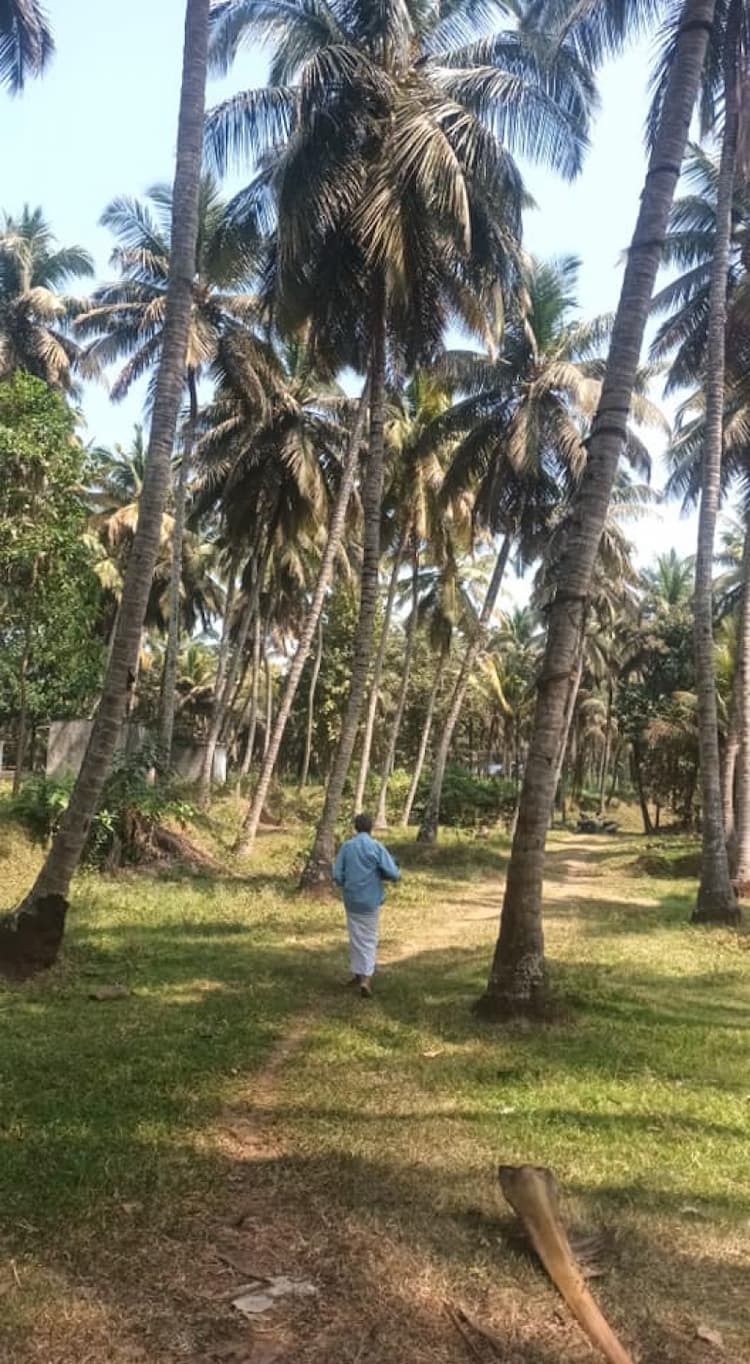 Single Property Image