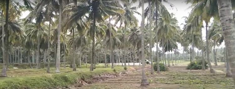 11 Acre Farm in Annaimalai Ooradi