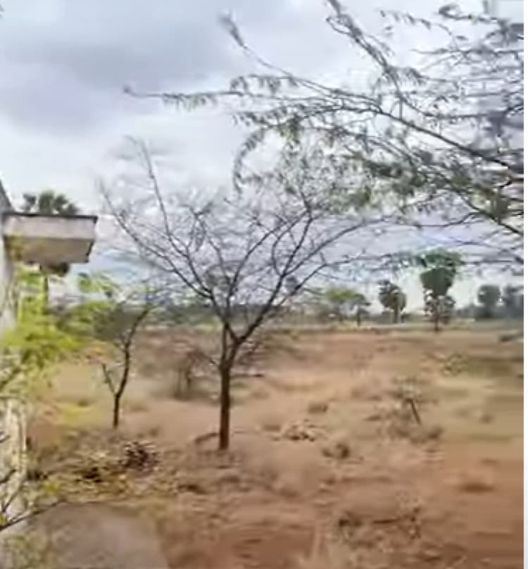 Land for sales