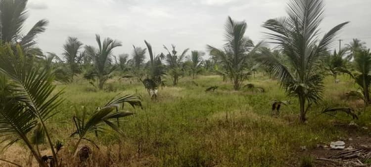 Land for Sale