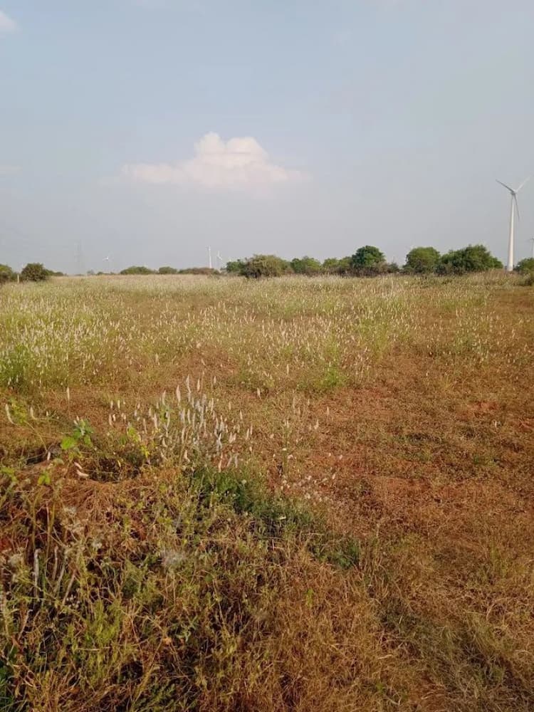 7.80 Acre Land for Sale