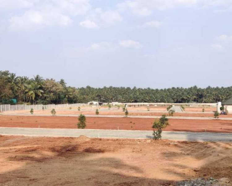 Land for Sale