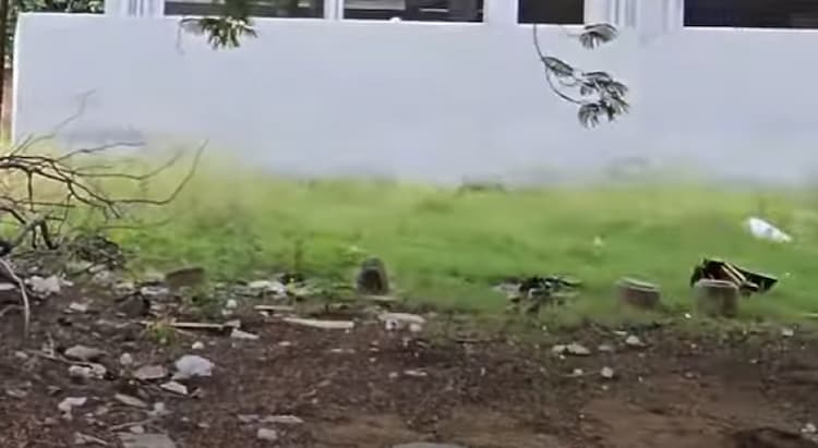 Land for sales
