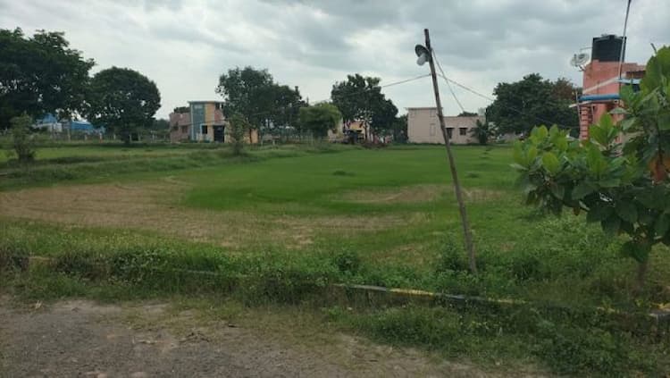 Land for sales