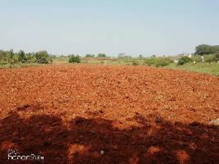 land sale