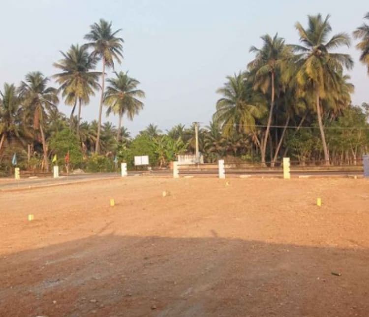 Land for sales