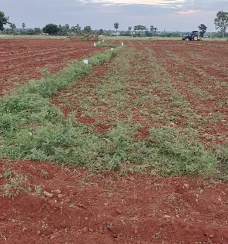 Land for sales