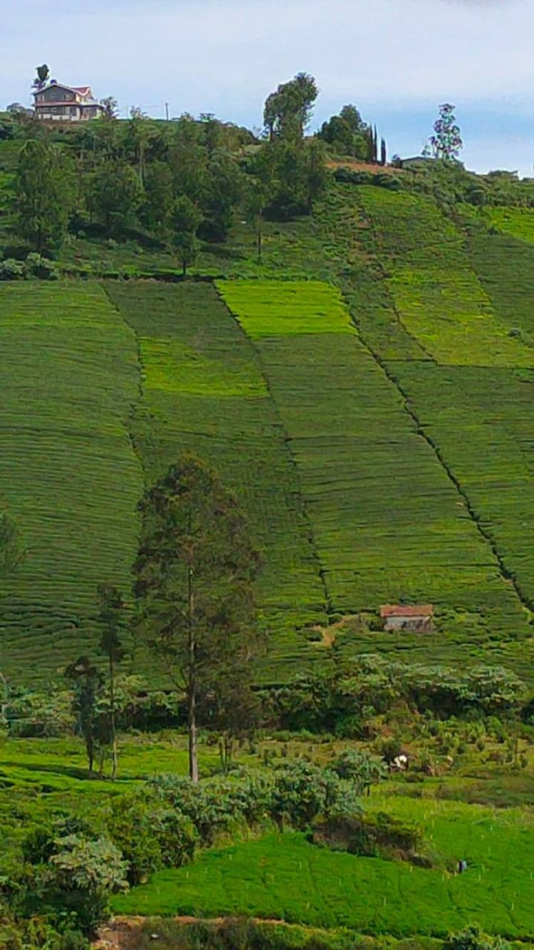 Single Property Image