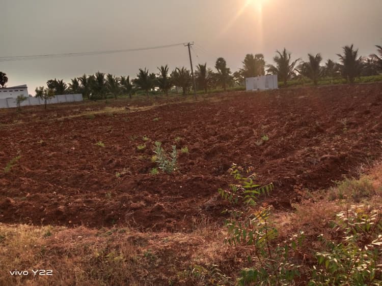 land for sales