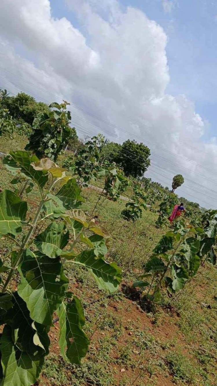 Single Property Image