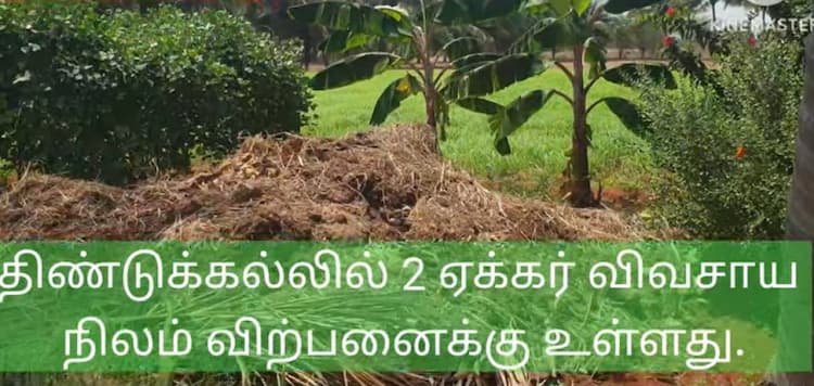 Land for Sale