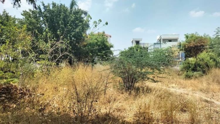 Single Property Image