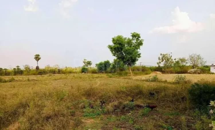 land sale