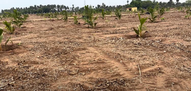 Land for Sale
