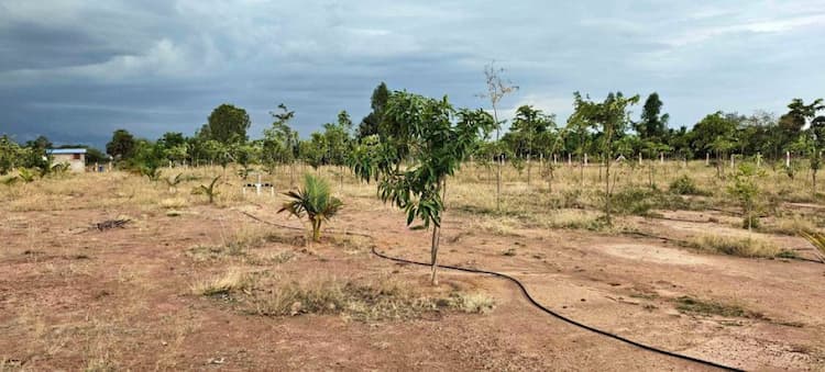 5.25 Acre Land for Sale
