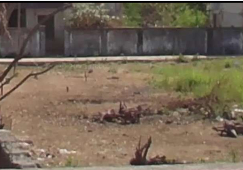 Land for sales
