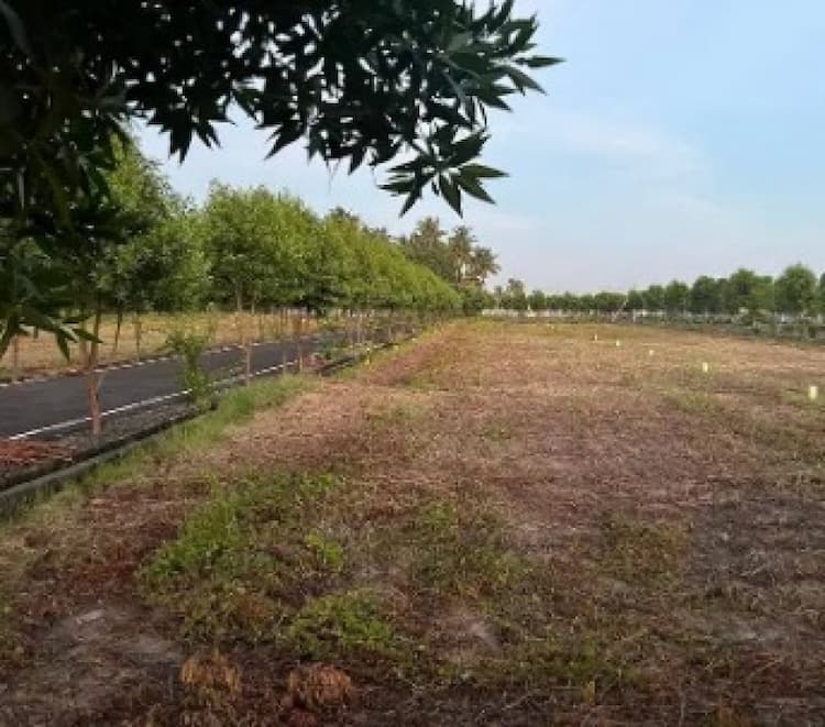 Single Property Image