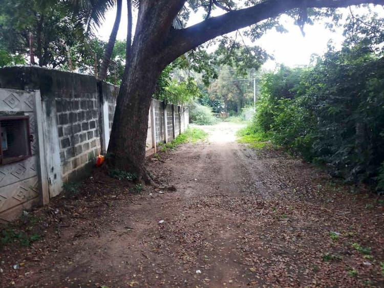 Single Property Image