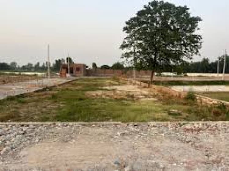 Plot sale