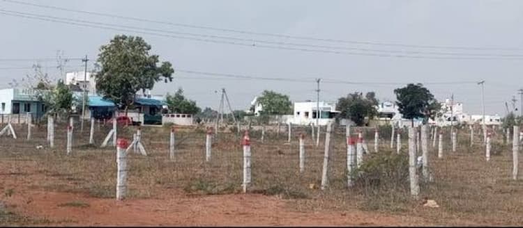Plot sale