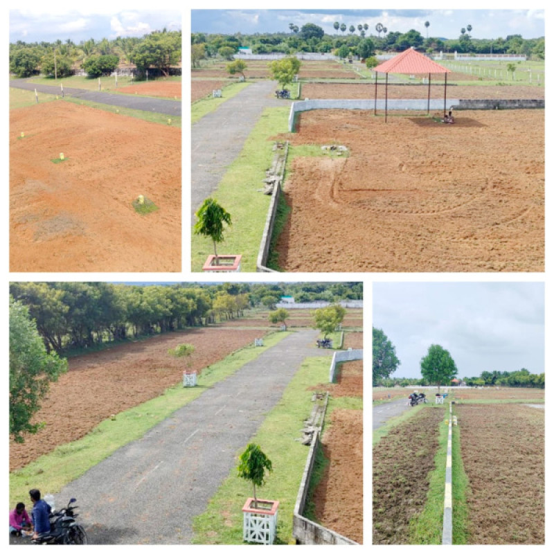 Residential Plot