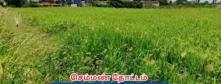 Land for sales