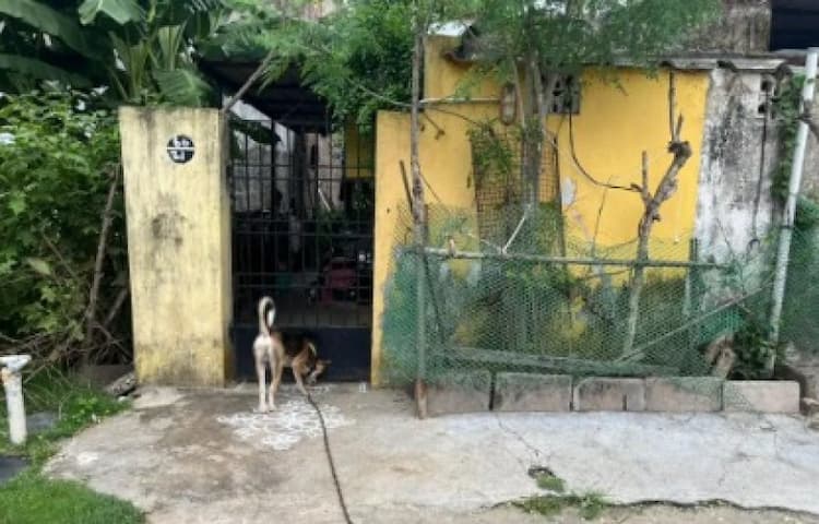 Single Property Image