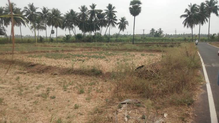 Land for sales