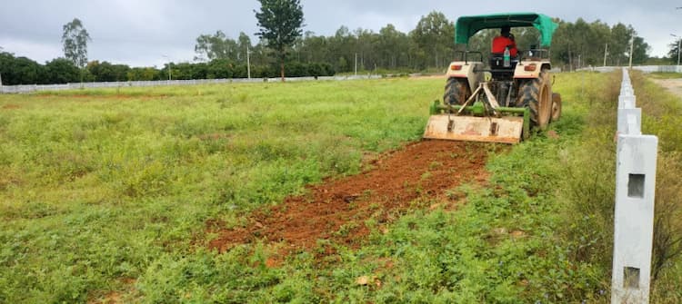 Agricultural Land