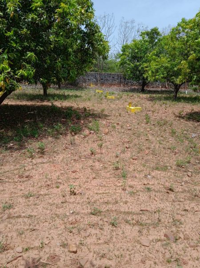 farm land sale