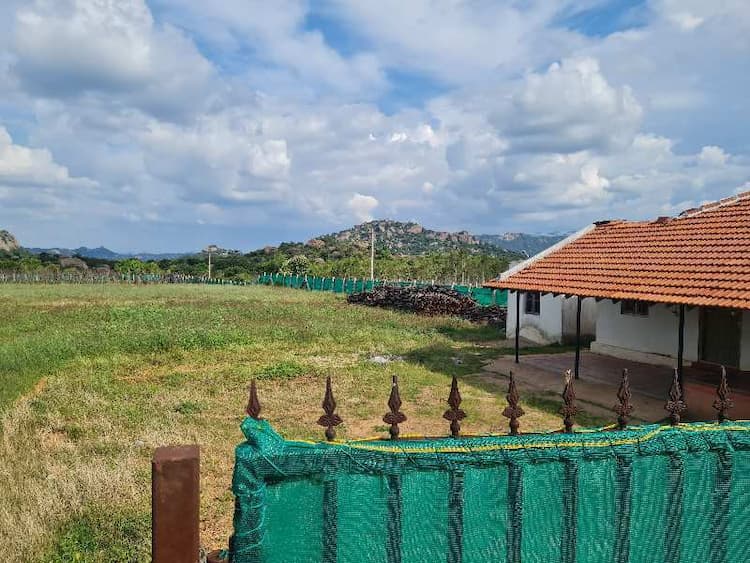 Agricultural Land