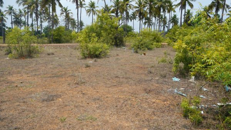 Land sale