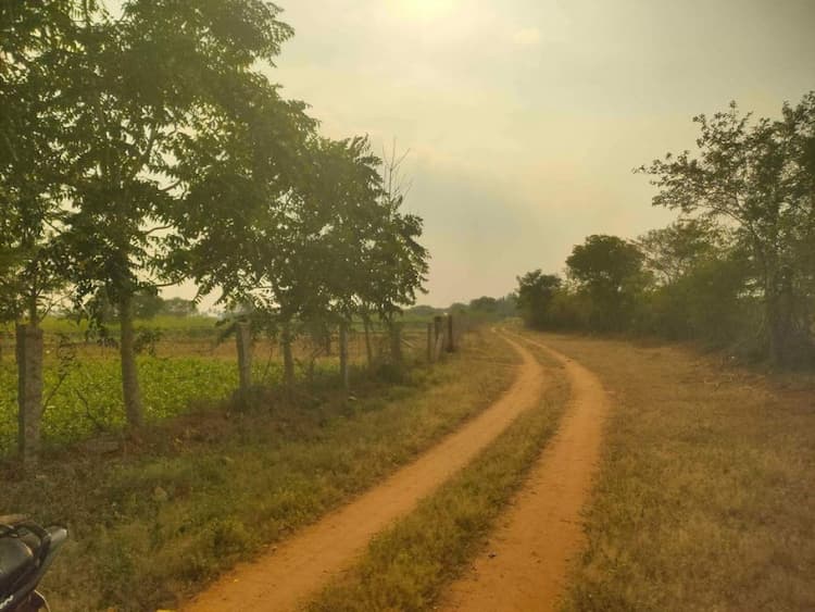 Single Property Image