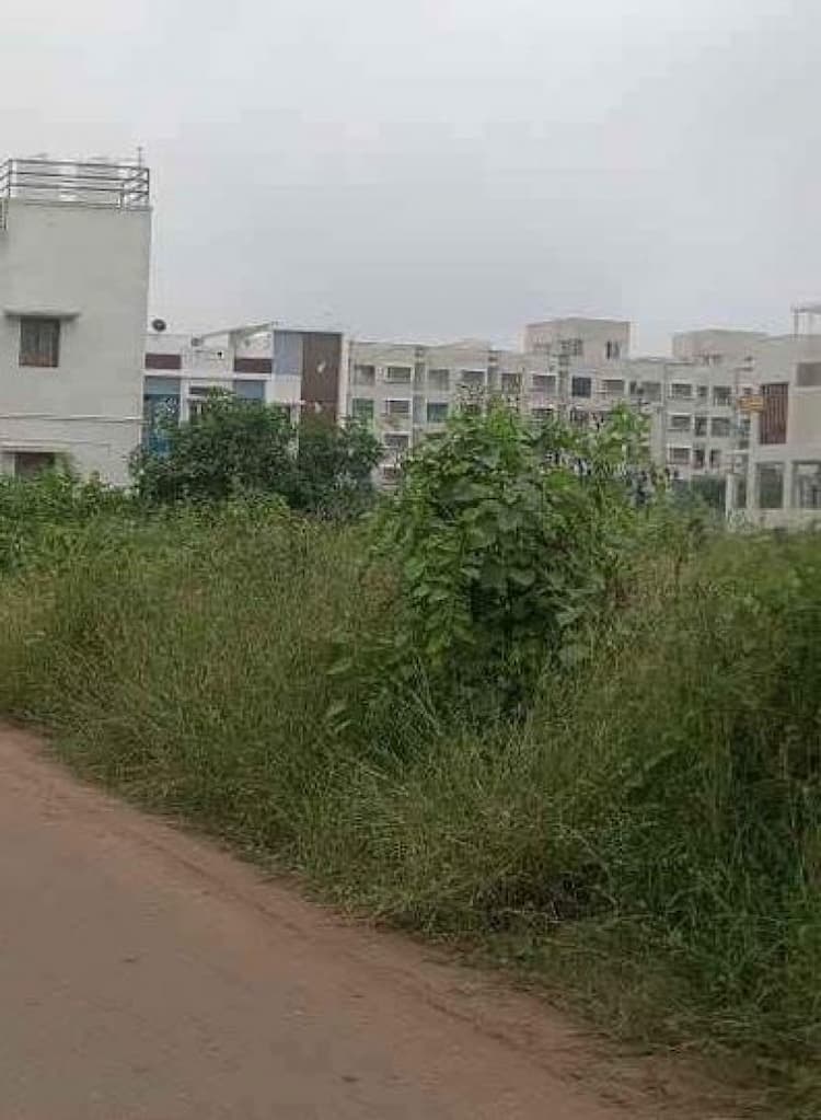site for sale