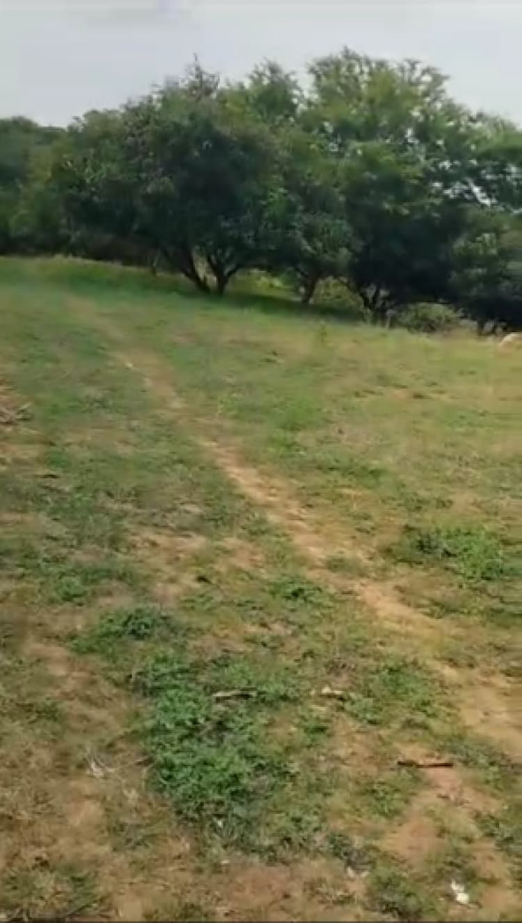 Agriculture land