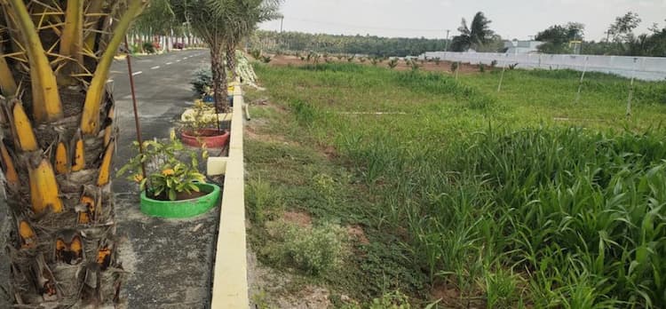 Single Property Image