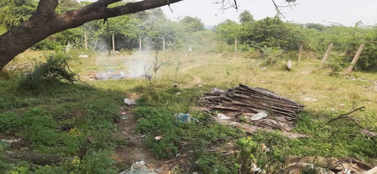 Single Property Image