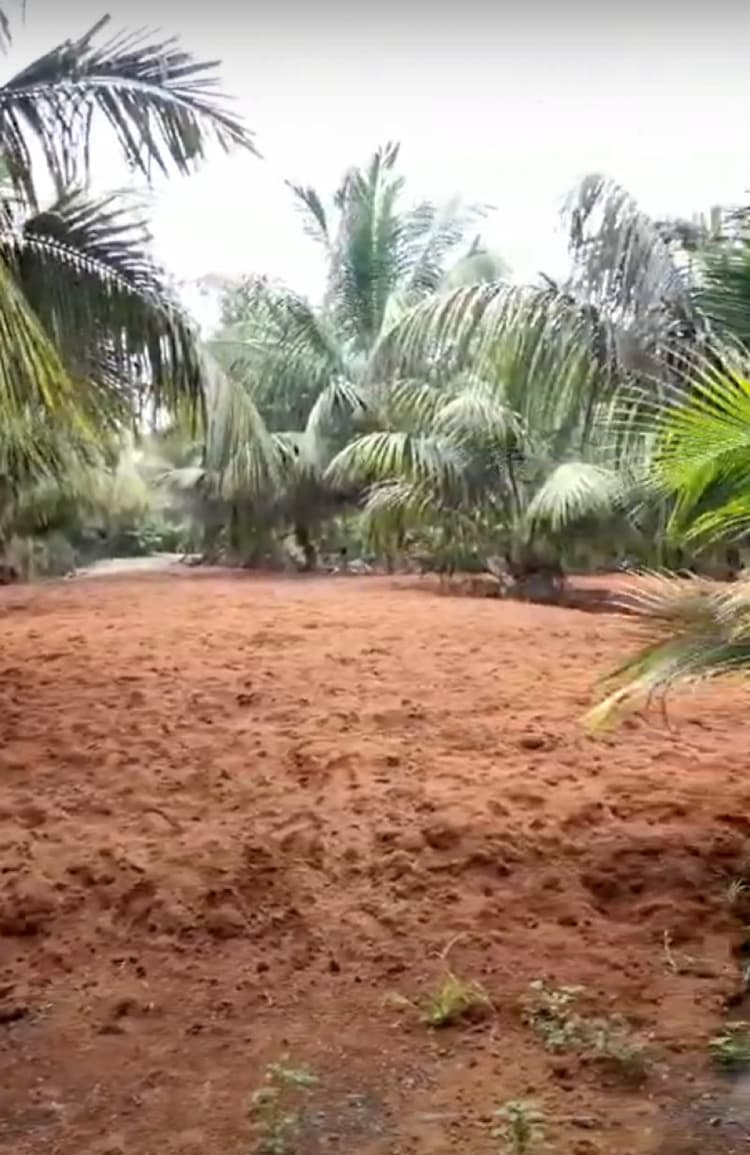5.50 Acre Land for Sale