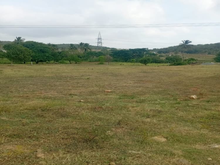 Agricultural Land