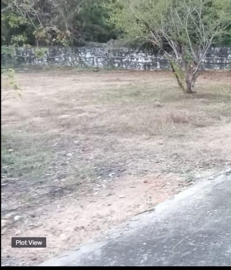 plot for sale 