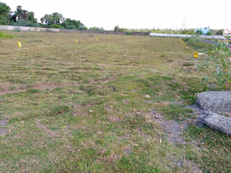 Residential Plot
