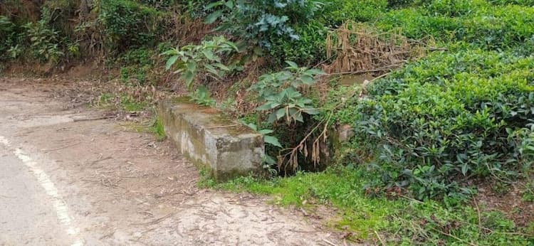  FARM LAND FOR SALE 