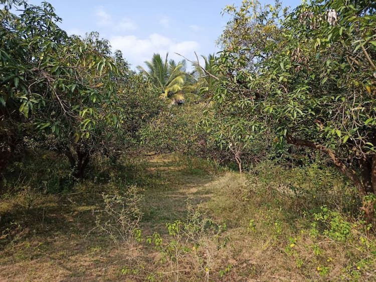 2.32 Acre Land for Sale