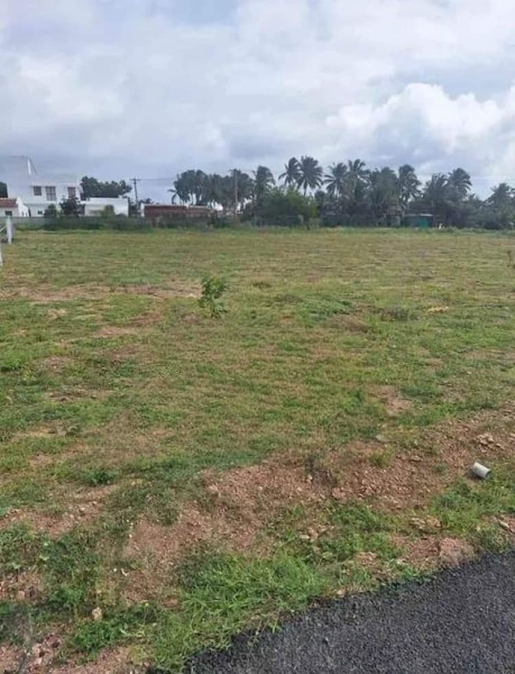 Plot sale
