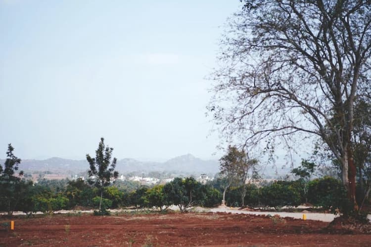 Plot sale