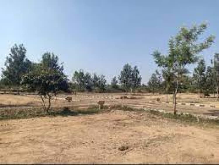 Plot for sale