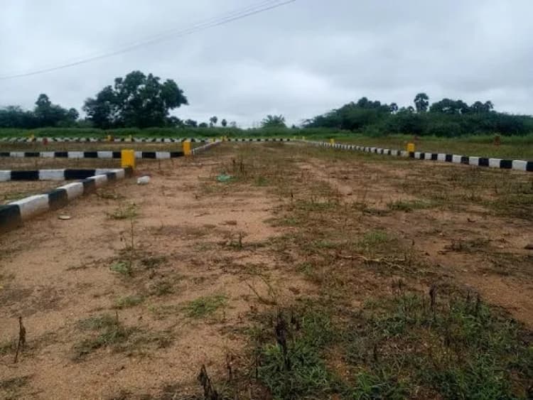 land sale